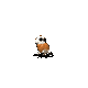 Grok 4.6: pseudacris-ornata-halloween.gif