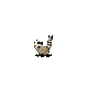 Grok 4.6: Ringtail dressed as skeleton