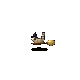Grok 4.6: Ringtail dressed as witch
