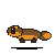 Muse Spark 1.3: California newt in motion