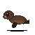 Muse Spark 1.3: California sea lion in motion