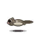 Muse Spark 1.3: Northern flying squirrel turning in 3D