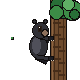 Muse Spark 1.3: American black bear doing a natural behavior